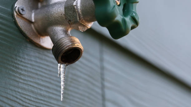 Best Plumbing Services Near Me  in Beach Park, IL