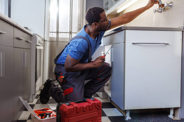 Best Commercial Plumbing Services  in Beach Park, IL